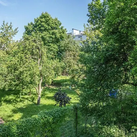 Old Moko Rozana By Vaya