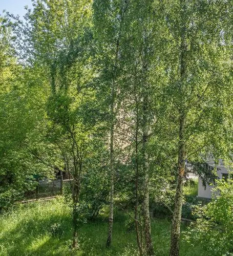 Old Moko Rozana By Vaya Lejlighed