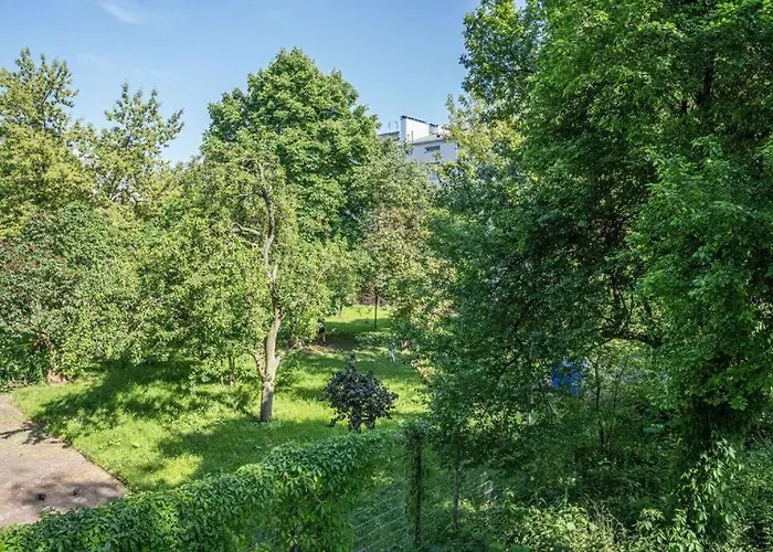 Old Moko Rozana By Vaya